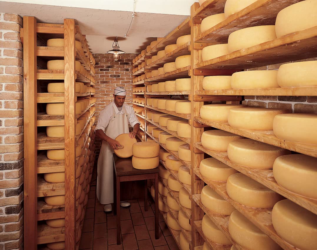 GUSTOS - Bockshornklee-Käse 1/4, ca. 650 Gr. von Gustos, mit aromatisch-würziges Aroma und leicht herben, pikanten Note