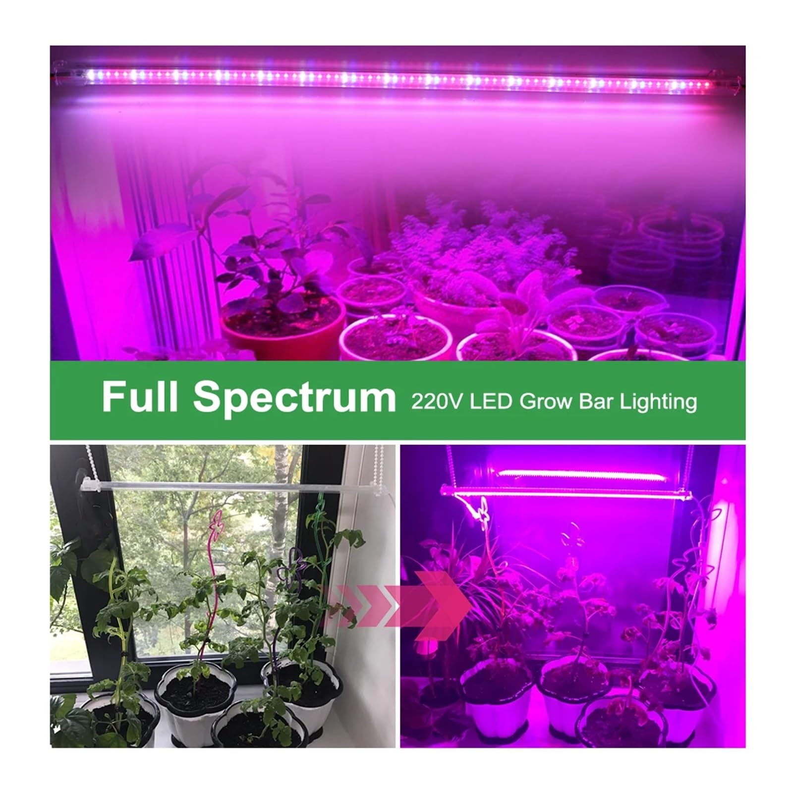 LED élèvent la lumière 75LED s barre lumineuse de plante, lampe Phyto à spectre complet for le système hydroponique fleurs plantes d'intérieur Illuminateur horticole(1Red 2White 2Warm,12pcs set)