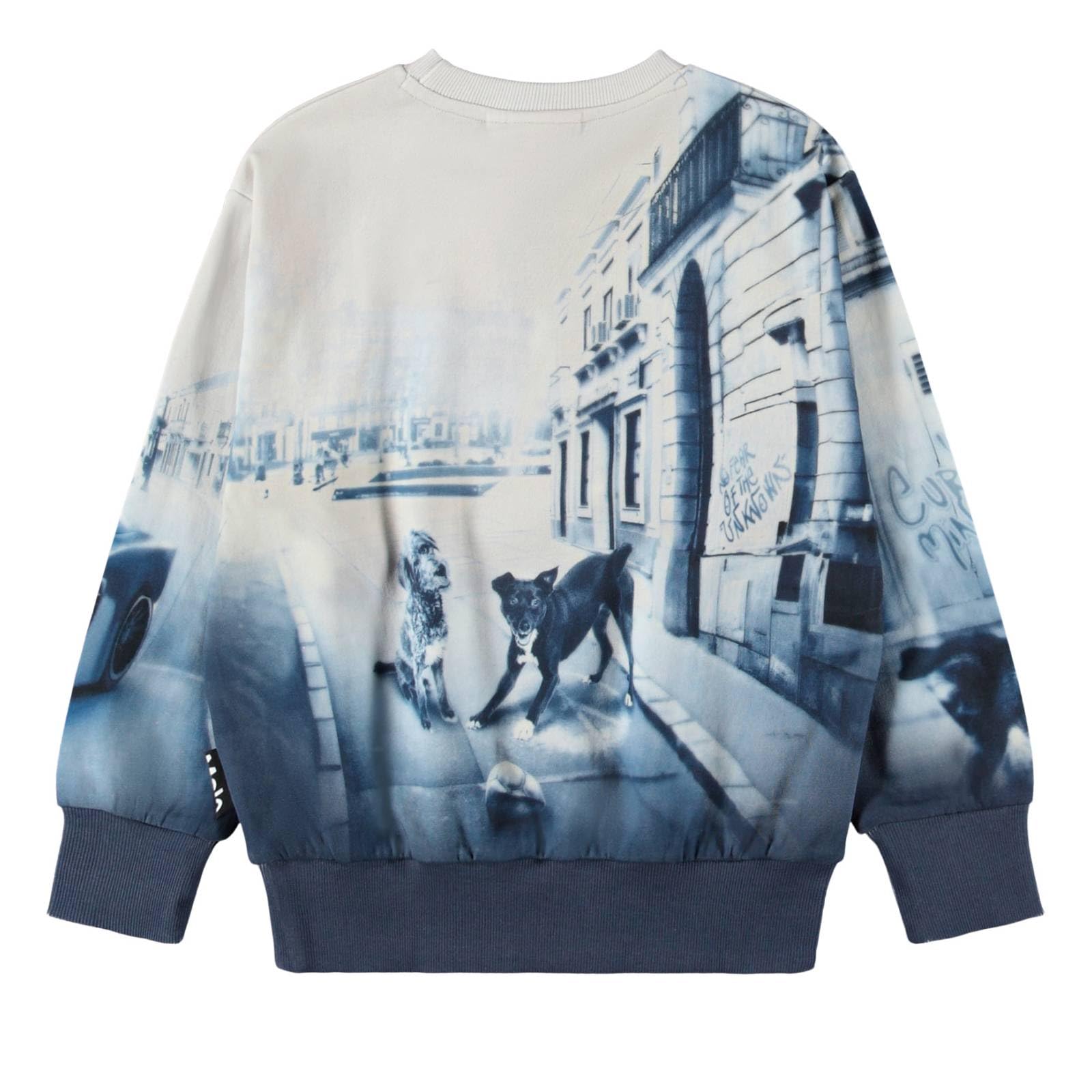 Molo Jungen Sweatshirt Mattis CurioCity GOTS