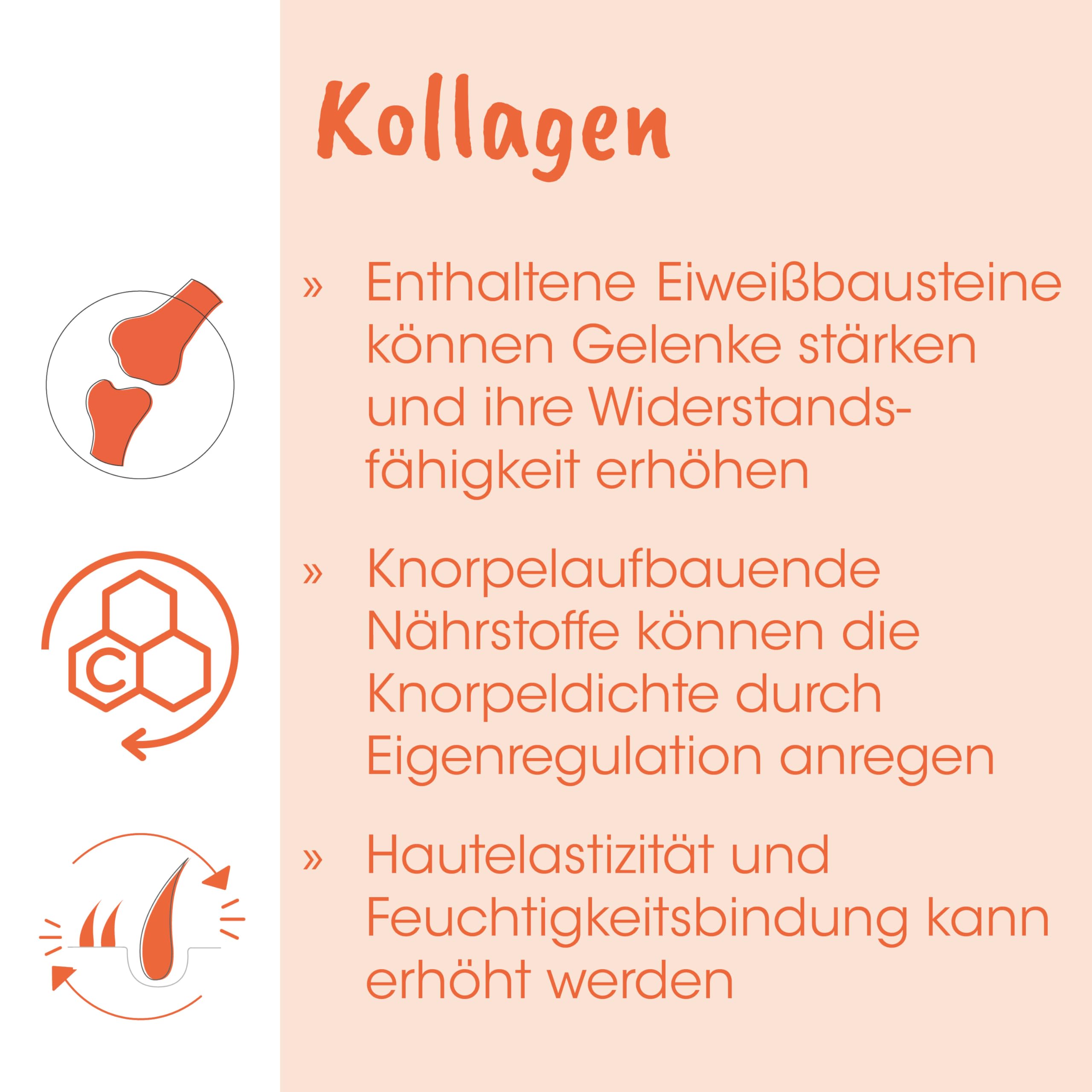 Singulares Kollagen 500g - Reines Schweinekollagen, Unterstützt ernährungsbedingt die Tiergesundheit
