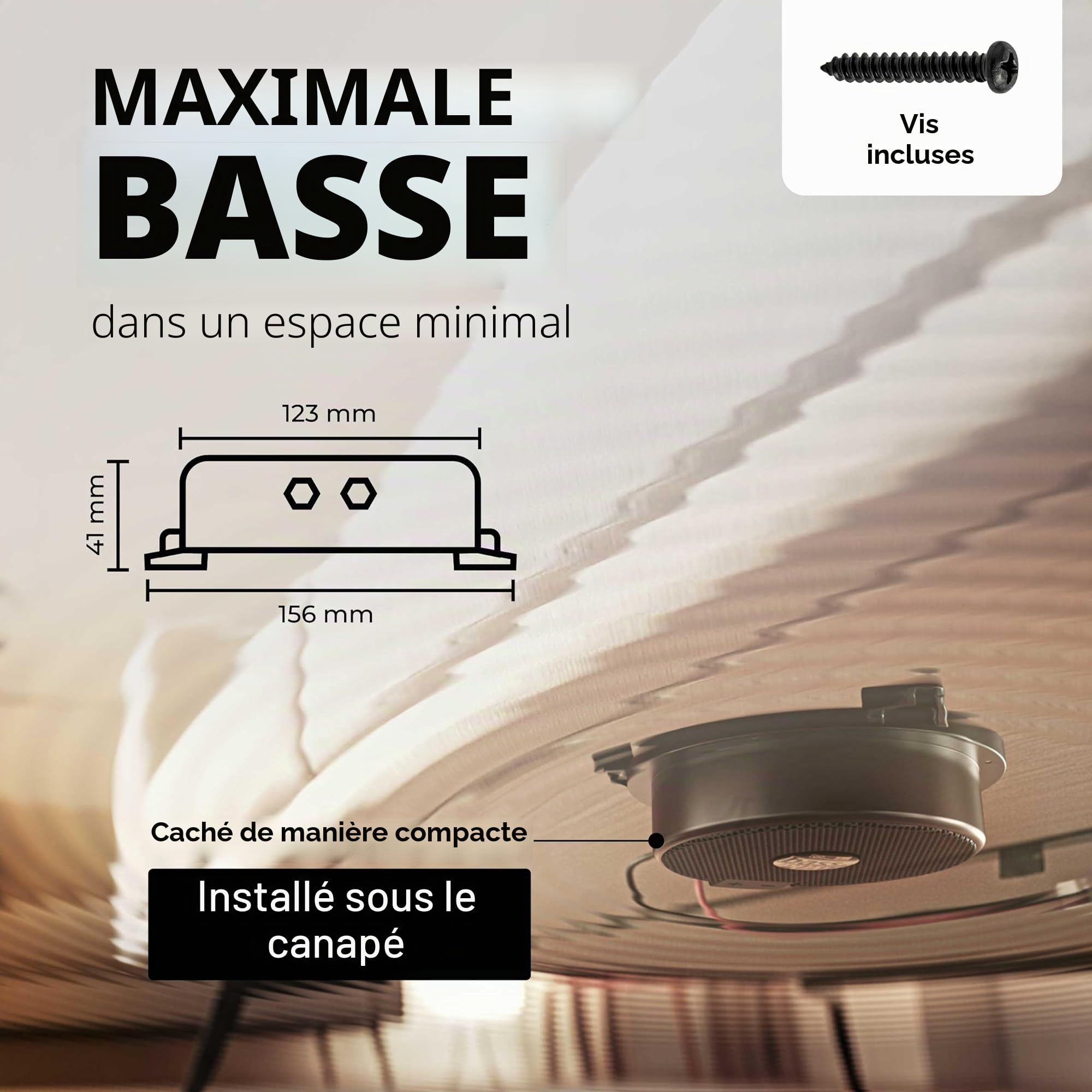 Haut-Parleur excitateur 80 W Sinuslive Bass-Pump III 4 ?
