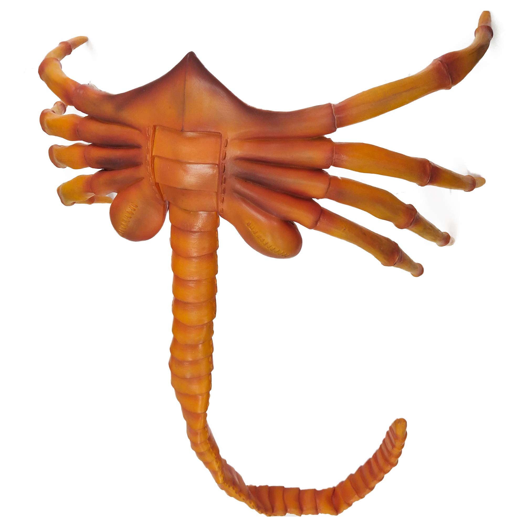 Buy Alien Facehugger Xenomorph Creepy Face Hugger s Cosplay Costume y