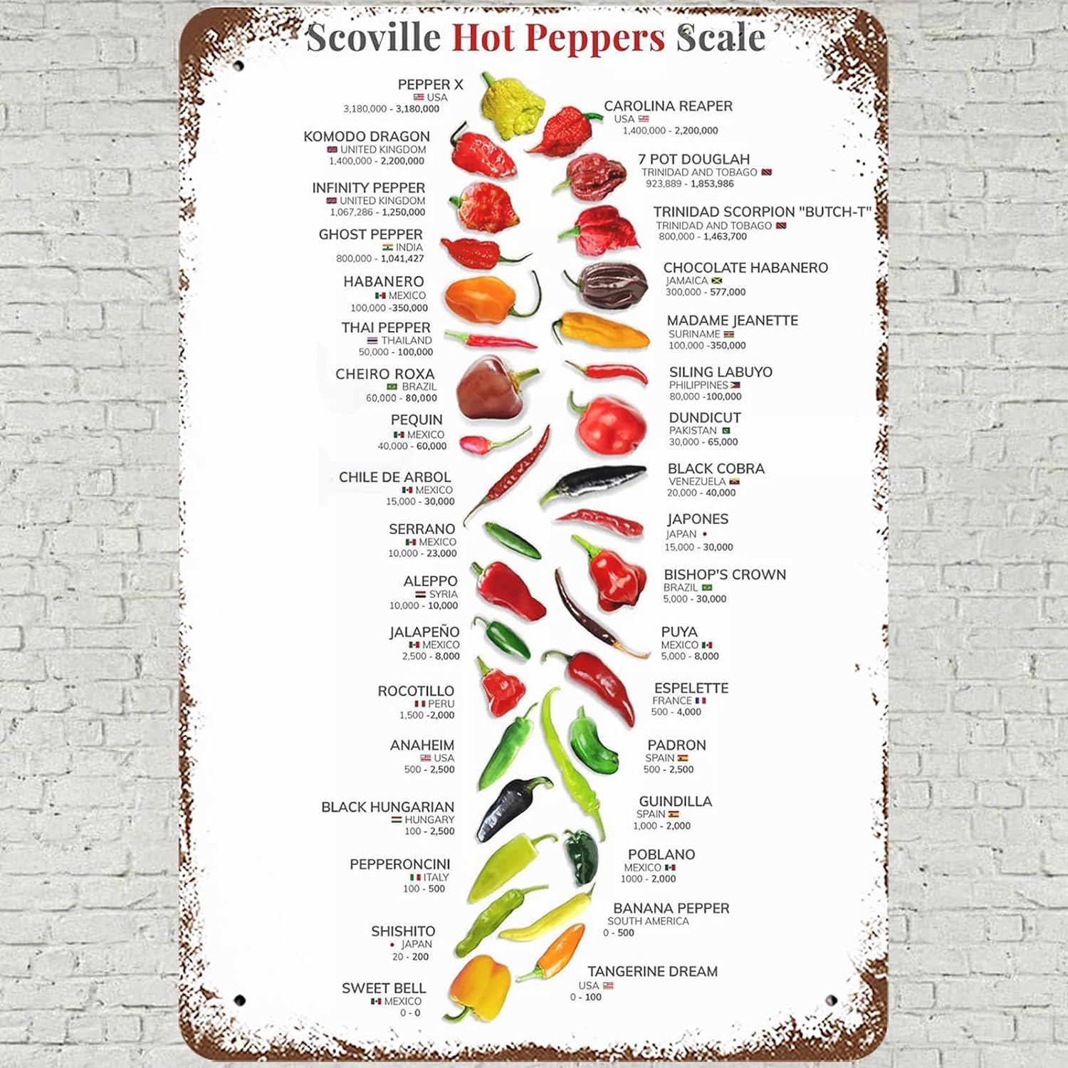 Smazdfxx As Pic Hot Peppers Scale Wall Art Decor, Chilli Capsicum Knowledge Nature Plant Guide Poster Tin Sign Bar Home Decoration Sign Gift Home Office Restaurant Garage Bar 8X12 Inches