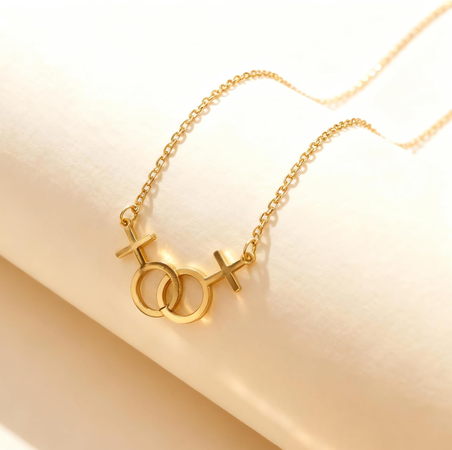 Lesbian Necklace Lesbian Pride Gifts for Women Girlfriend, LGBT Pride Necklace Jewelry for Valentine's Day, Anniversary, Birthday, Wedding - Image 5