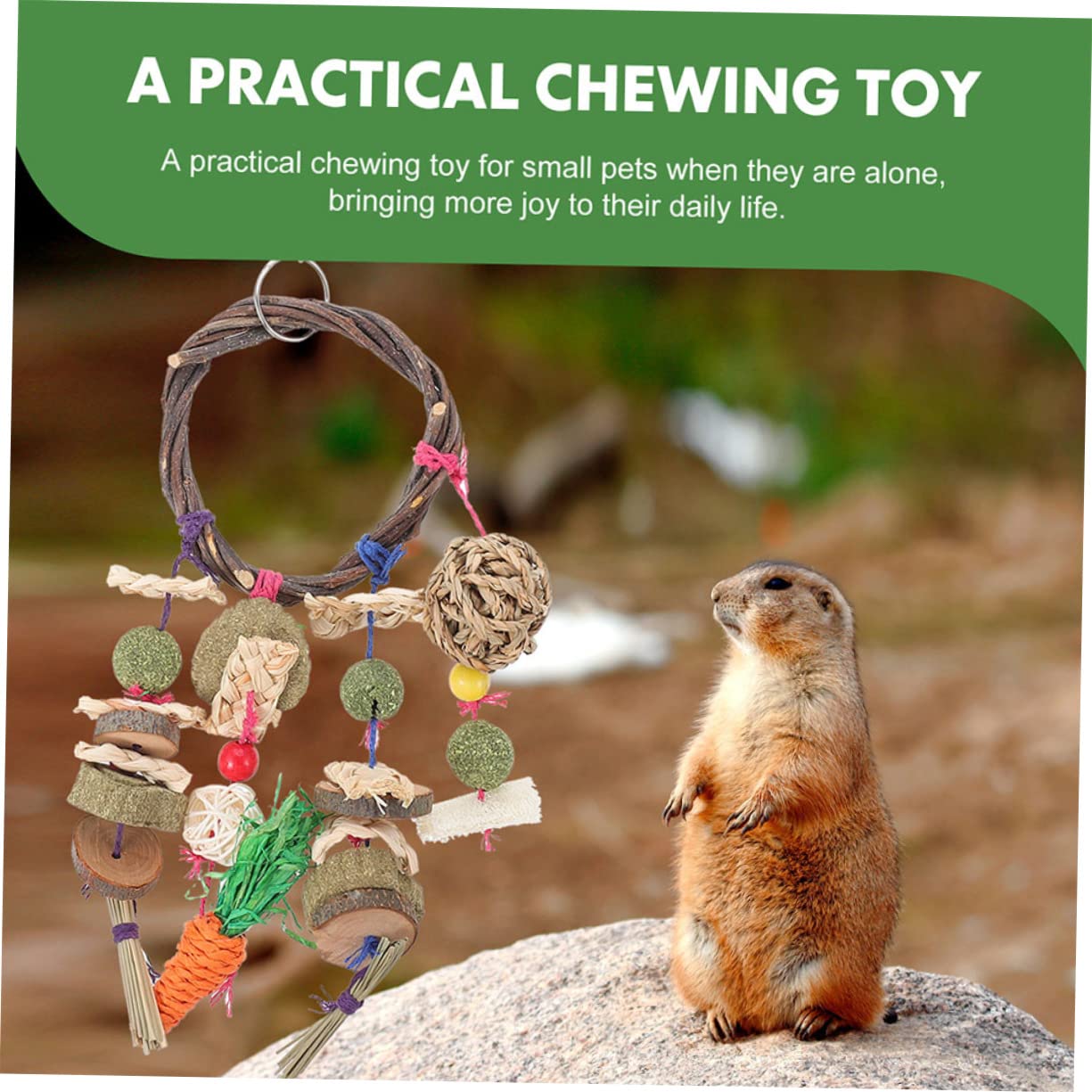 BESTonZON 2 Stück Natürliches Holz Kauspielzeug für Hamster und Kleine Haustiere Robustes Hasenspielzeug zum Spielen und Trainieren im Käfig
