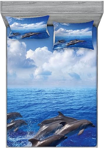 Miniatura 117 de Ambesonne Juego de sábanas bajeras y fundas de almohada, dibujos de aviones antiguos, vuelos clásicos con fechas, estilo vintage, diseño nostálgico,