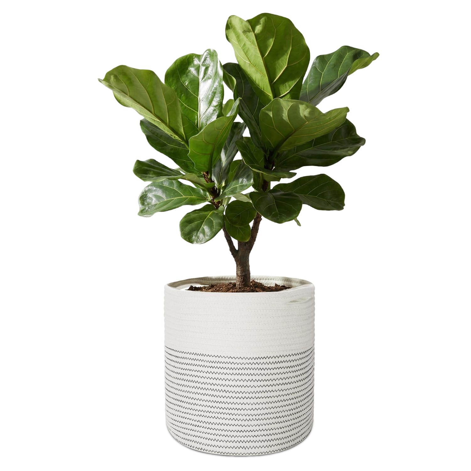 Flexzion Panier à plantes moderne en coton Boho Porte-plante d'intérieur (Pot de fleurs jusqu'à 11") Bac de rangement en macramé avec poignées Panier de rangement de décoration intérieure 12" x 12"