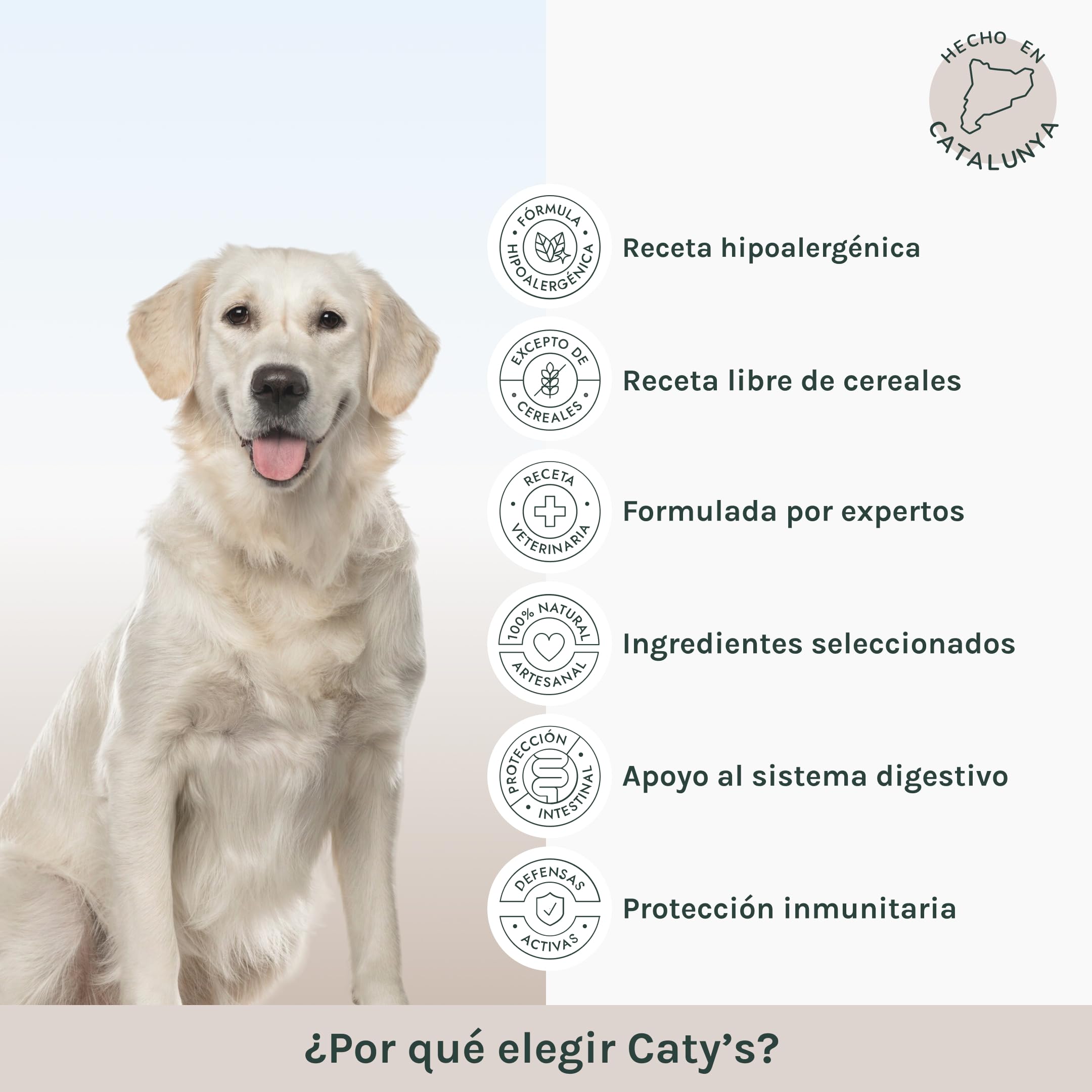 GALITO Pienso para Perros Salmón 12 kg | Sin gluten, Monoproteico animal, Hipocalórico, Prebióticos, Con vitaminas