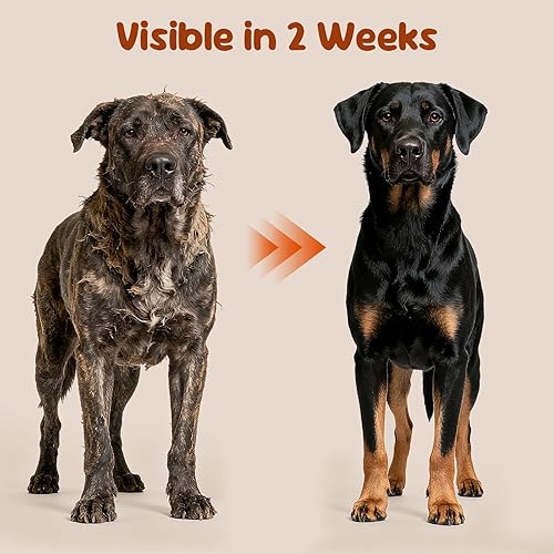 Miniatura 3 de Multivitamínico para perros - Suplemento diario todo en uno  Apoya las articulaciones, el corazón, la piel, la digestión, el sistema inmunológico y