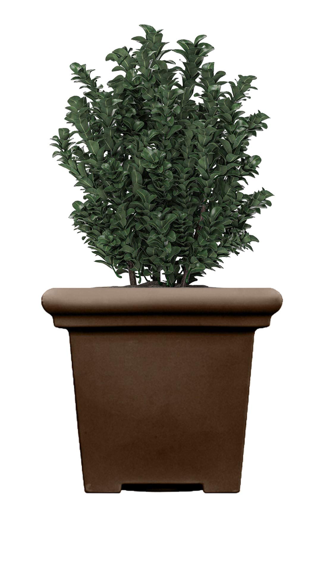 HC Companies Übertopf Quadratisch 31,8 Cm – Leichter Blumentopf Mit Drainage Für Draußen
