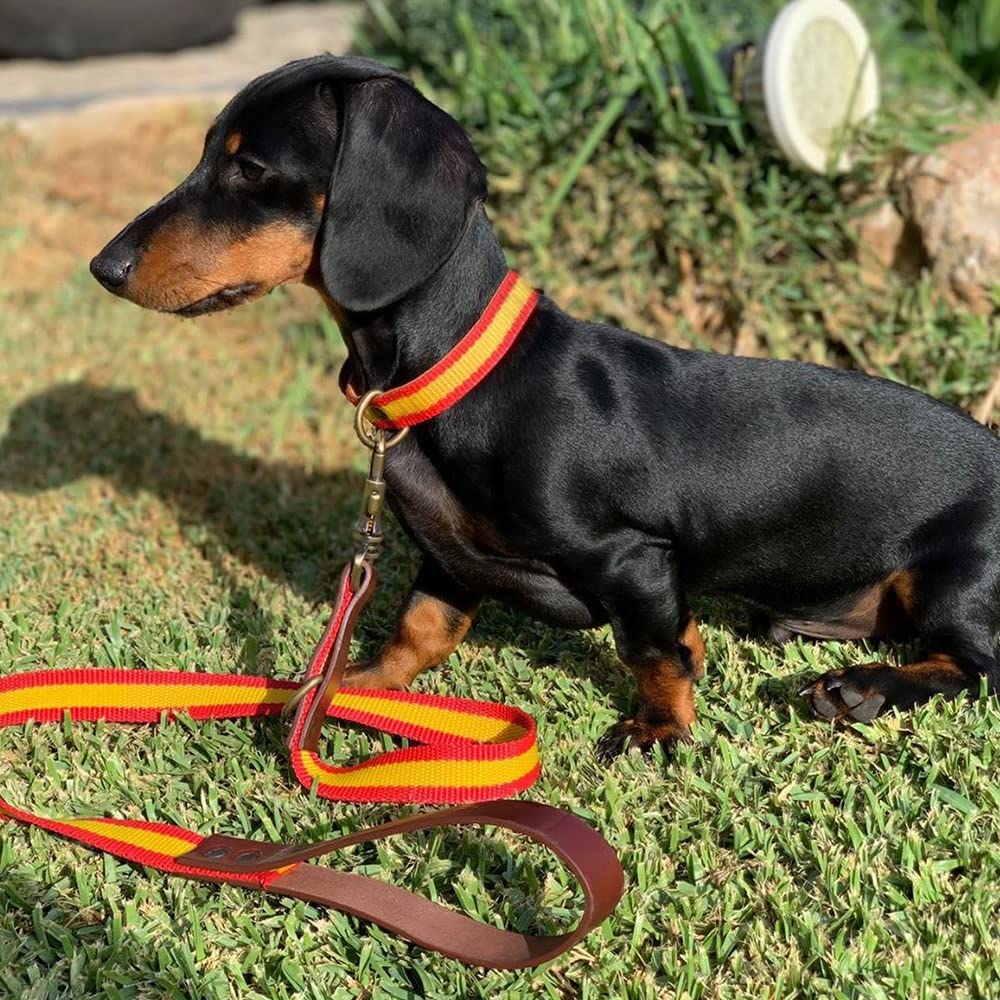 Collier Chien Nylon Drapeau Espagnol 45 Cm - Résistant Et Réglable - Fabriqué En Espagne