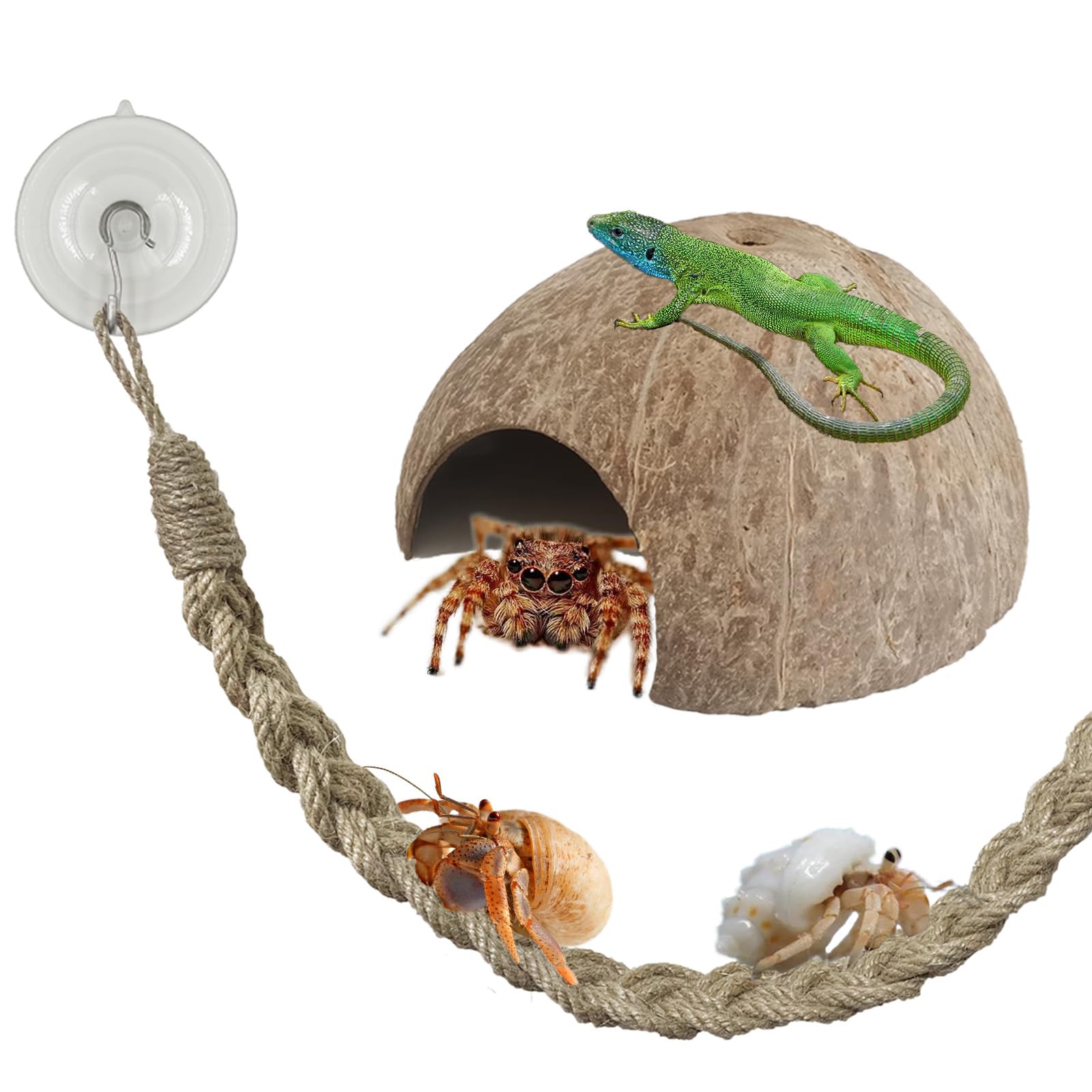 Hodpyihc 2PCS Hermit Crab Accessories，25.9inx1.58in Reptile Climbing Rope，Natural Coconut Reptile Hideouts，Ermit Crab, Hamster, Chameleon, Tree Frog,