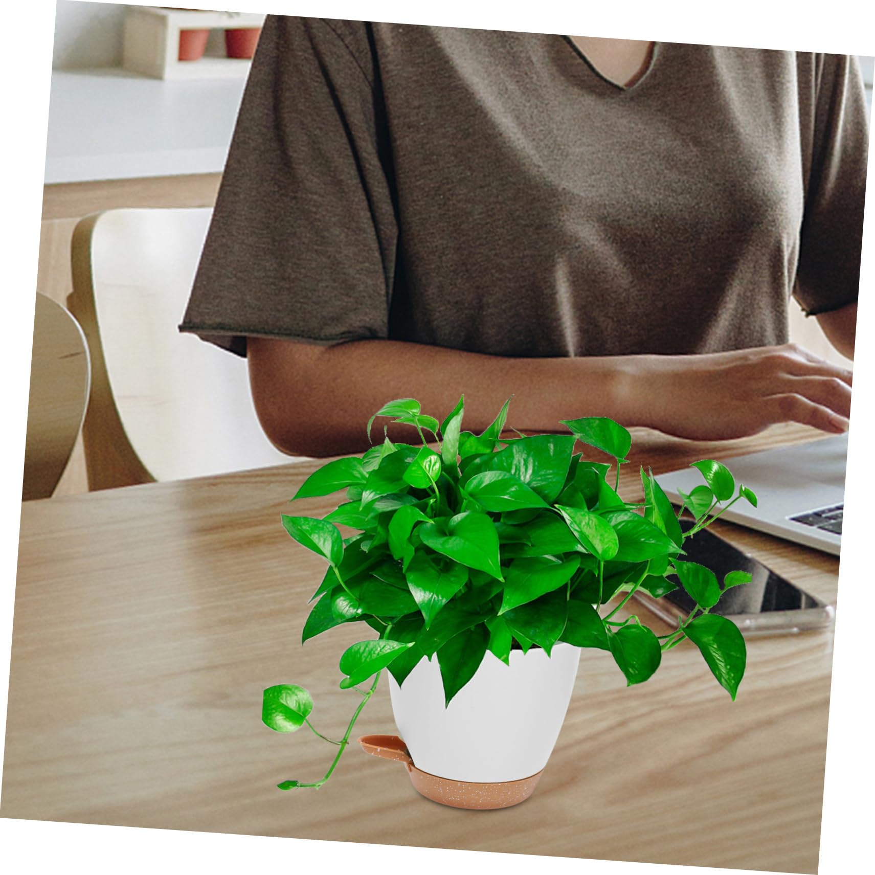BESTonZON 3 Stück Teiliges Selbstbewässernde Blumentöpfe für Zimmerpflanzen Automatisches Bewässerungssystem für Kräuter und Blumen für Büro und Wohnzimmer Dekorative Pflanzgefäße