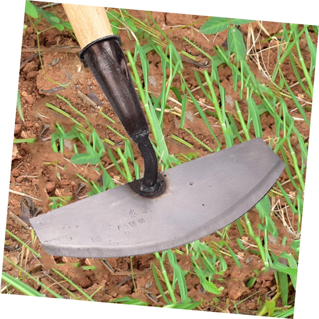 Toyvian 3 Stck. Hand Hacke Gartenwerkzeug Tragbare Unkrautentferner ohne Griff für Gartenarbeiten Graben und Jäten