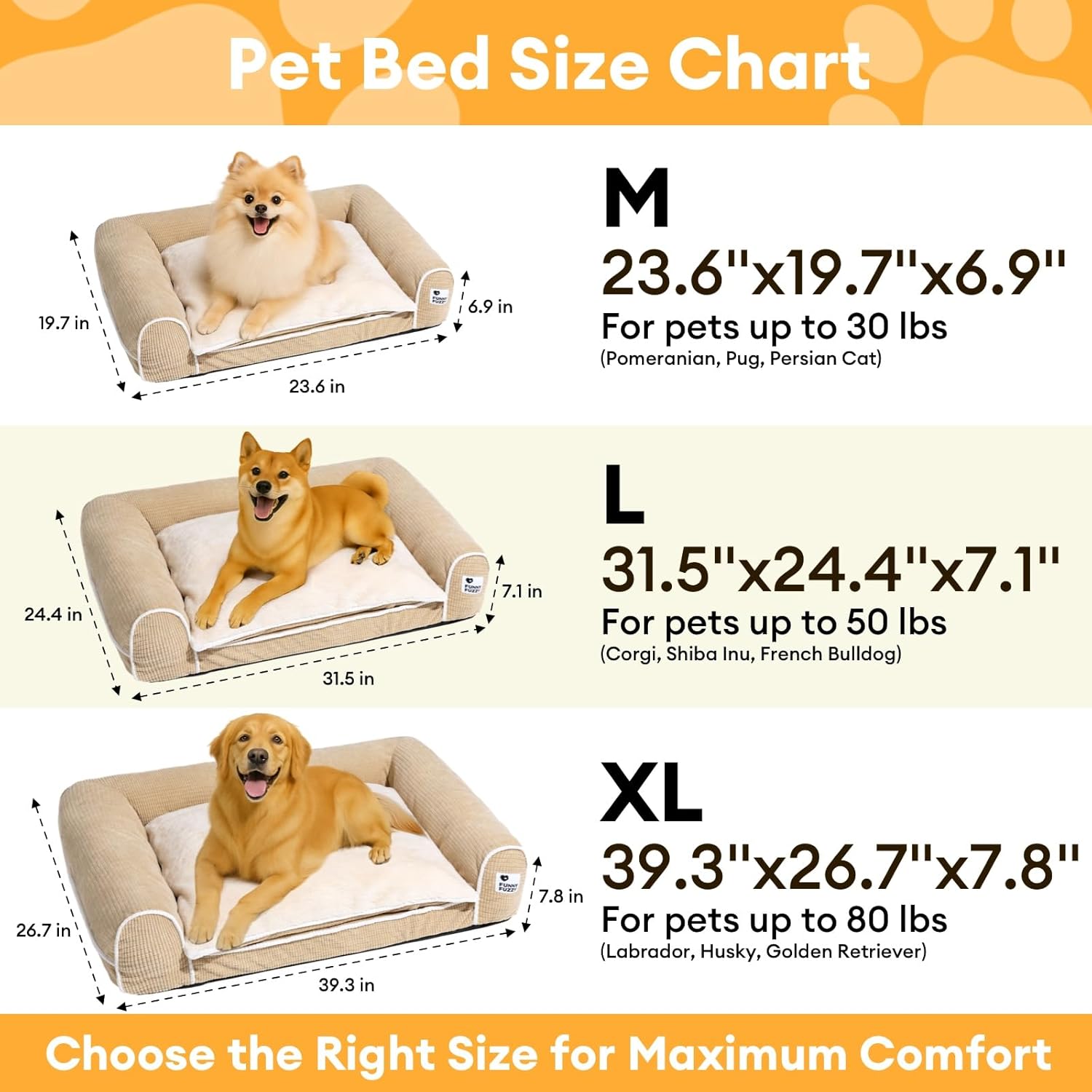 Transform Your Pup