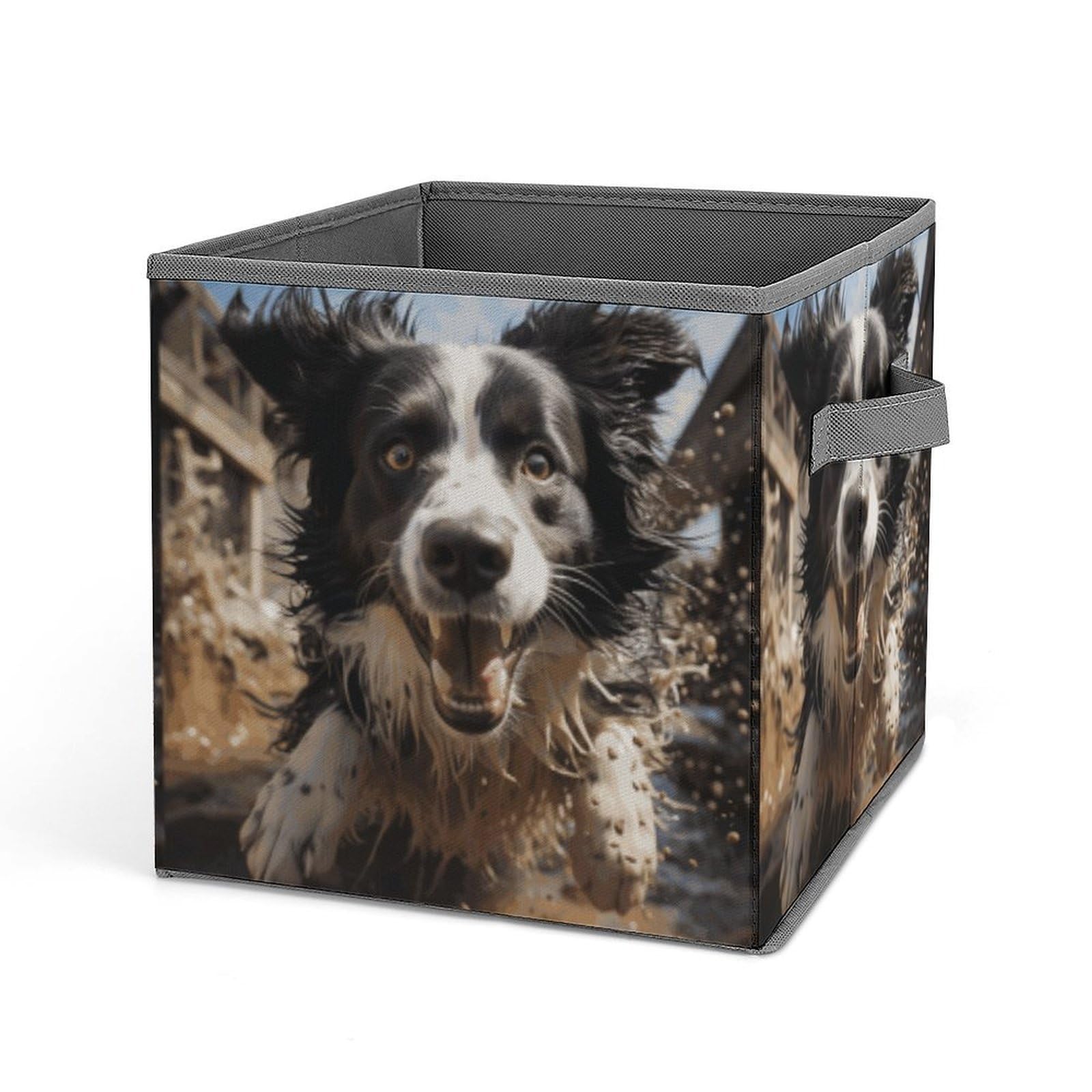 DWVTSLH Pastor Border Collie Cube Storage Bins with Handle, Foldable Storage Cubes, 11 Inch Large Storage Baskets, Washable Fabric Closet Organizer for Shelves, Decorative Clothes Storage Boxes