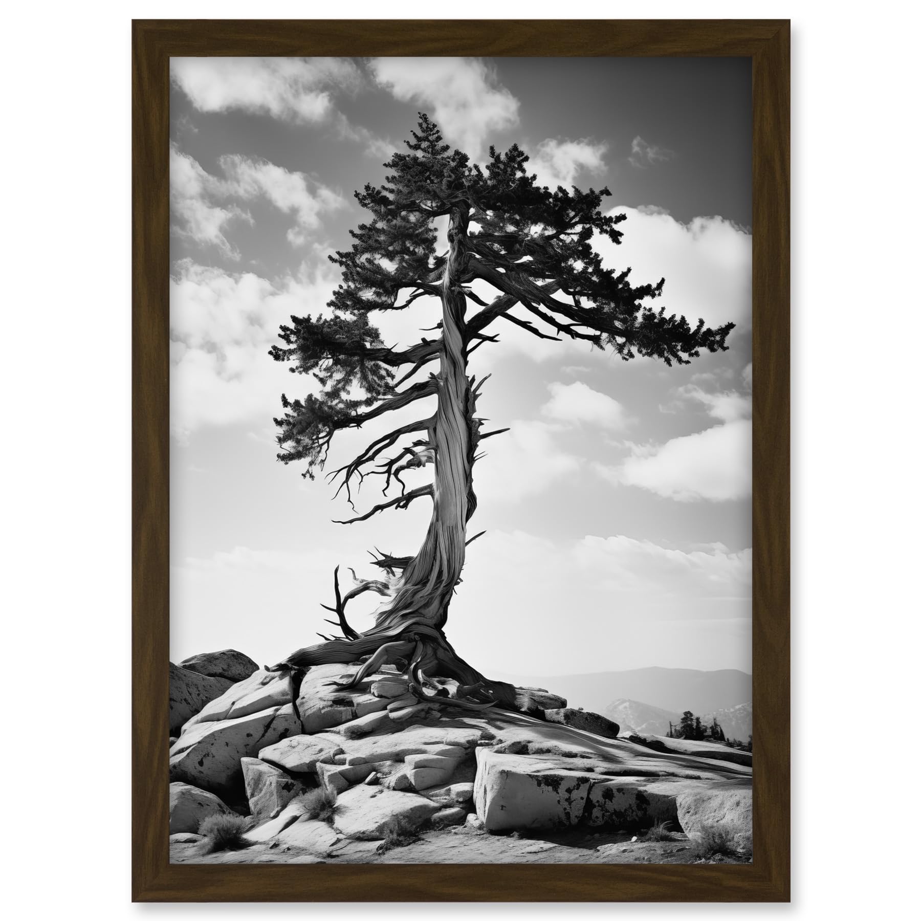 Artery8 Weathered Jeffrey Pine Standing on a Rocky Hill Black and White Photograph Lone Tree Artwork Framed A3 Wall Art Print