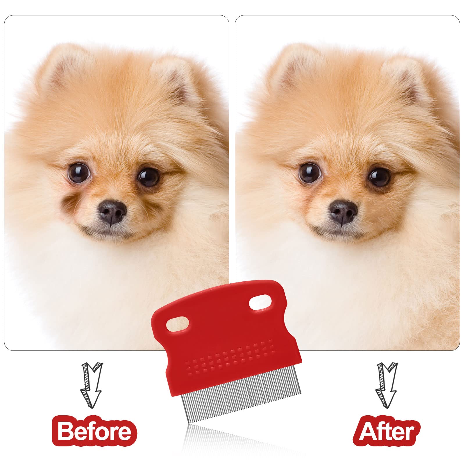 Snapklik.com : 5 Pieces Dog Eye Combs Tear Stain Remover Combs Pet ... - Dog Eye Crust And Tear Duct Problems