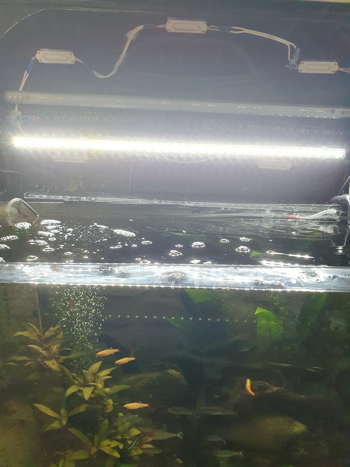 JUWEL NovoLux LED 40 lumière Blanche 6500°K tube Leds additionnel pour JUWEL NovoLux LED 40 lumière Blanche 6500°K tube Leds additionnel pour