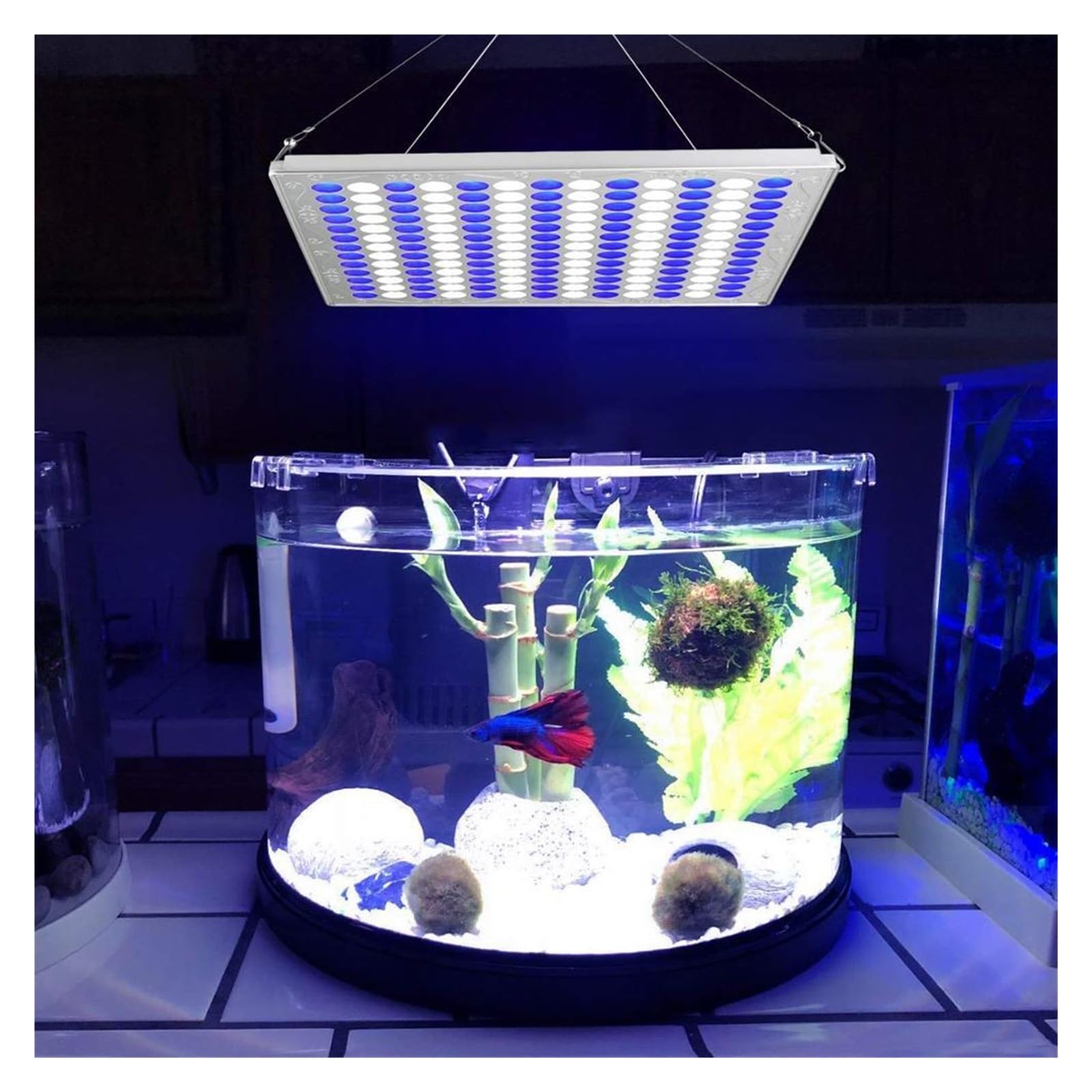 éclairage d'aquarium Aquarium LED récif lumière 75W récif corail lampe marine eau douce eau salée réservoir de poissons plante aquatique grandir éclairage Ultra panneau lumineux pour aquarium planté