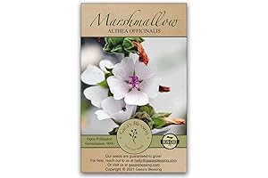 Easy-Growing Gaea's Blessing Marshmallow Plant Seeds