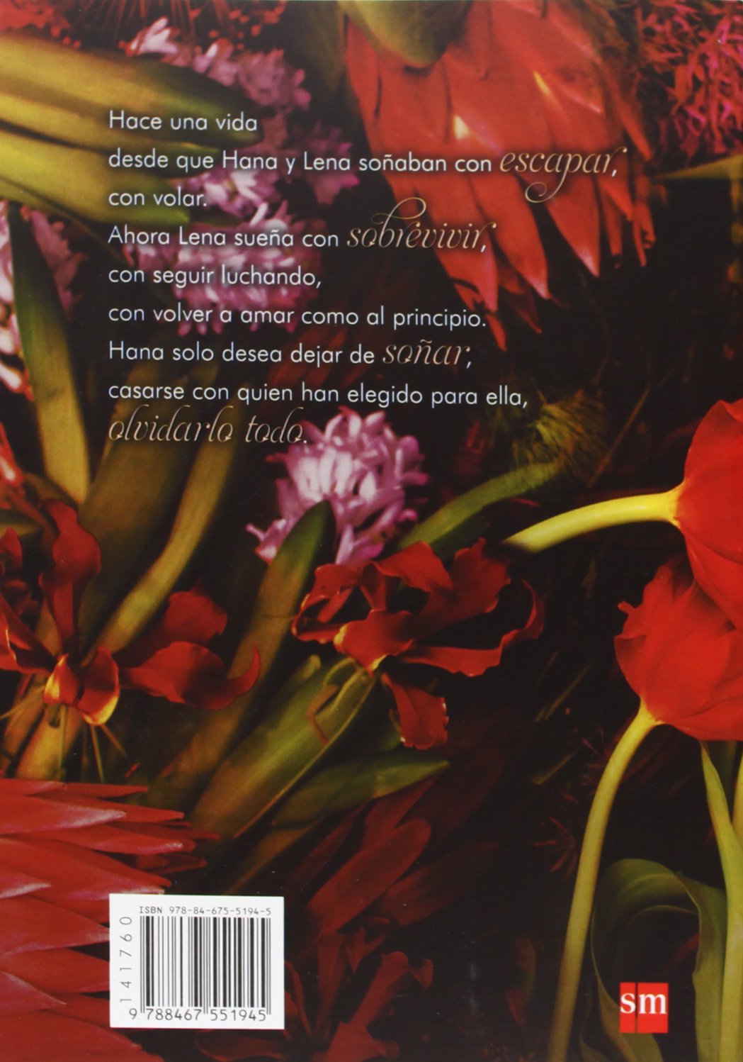 Requiem (Saga Delirium)