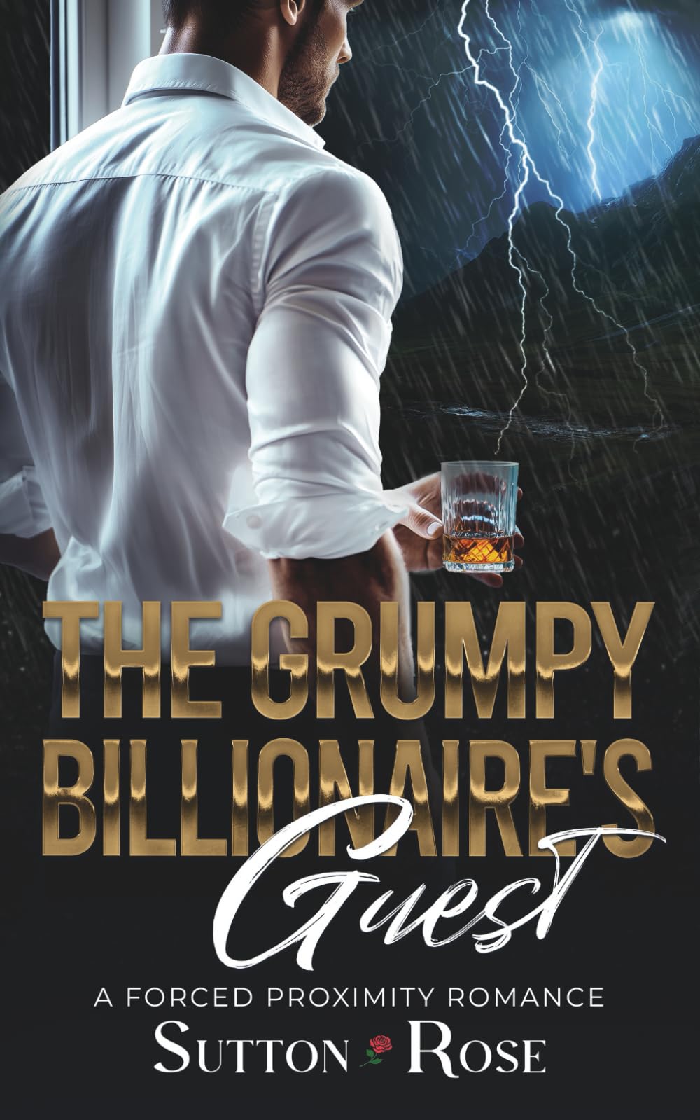 The Grumpy Billionaire's Guest: A Forced Proximity Romance