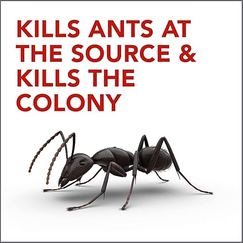 Miniatura 6 de Raid Max - Cebos para hormigas de doble control, sistema de defensa de uso doméstico para controlar insectos, tecnología de cebo dual (0.28 onzas