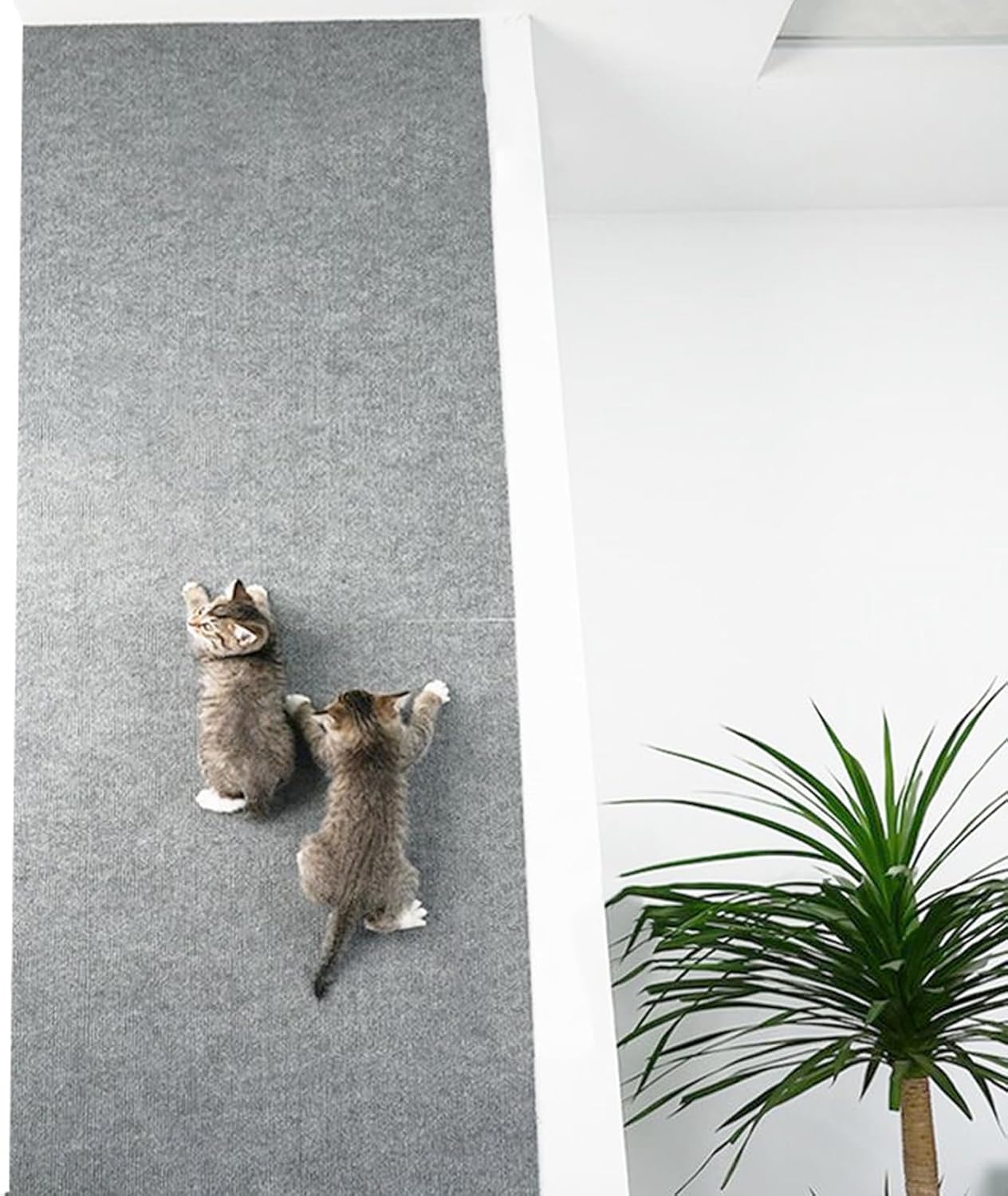 review Self-Adhesive Cat Scratching Mat, DIY Self-Adhesive Climbing Cat Scratcher, for Sofa Couch Corners Cat Scratch Training Tape Protection for Doors Furniture (Navy Blue, 60 * 100 cm)