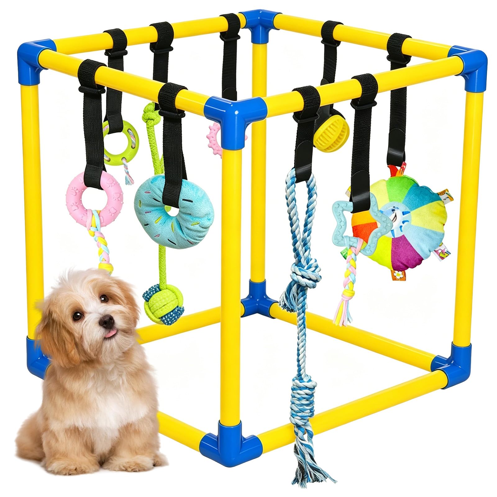 Gymnase de jeu pour chiot : offrez-lui des moments de pur bonheur