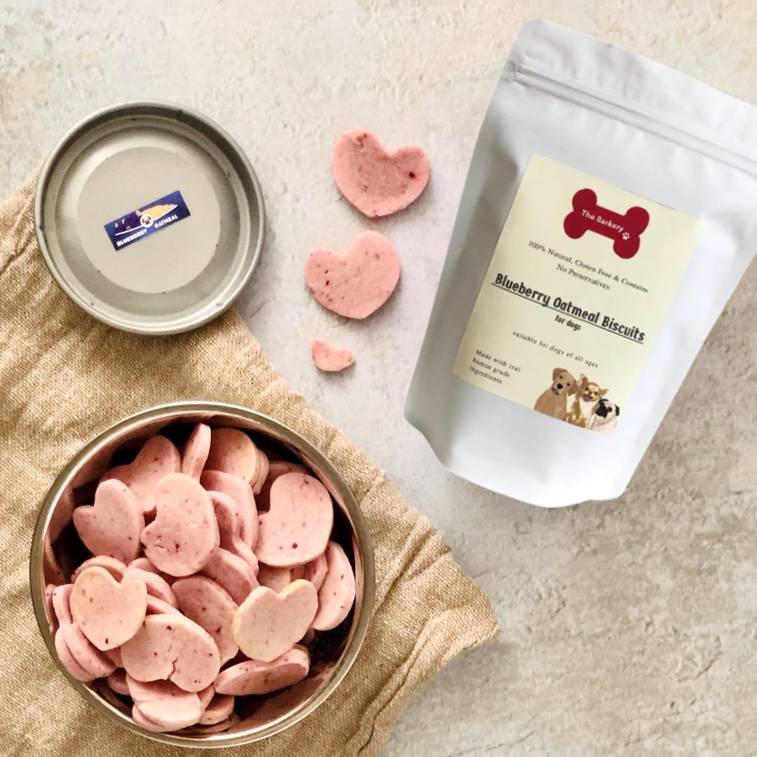 Blueberry Oatmeal Dog Biscuits(300gm) | Premium Vegetarian Dog Biscuits | Natural and Gluten Free Dog Biscuits | Homemade Dog Treats (B0CLDKFX62) Amazon Price History, Amazon Price Tracker