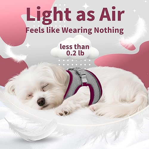 Miniatura 79 de AIITLE Arnés Escalonado para Perro y Juego de Correa - Chaleco Arnés a Prueba de Escape Sin Tirones con Malla Suave y Bandas Reflectantes, Arneses