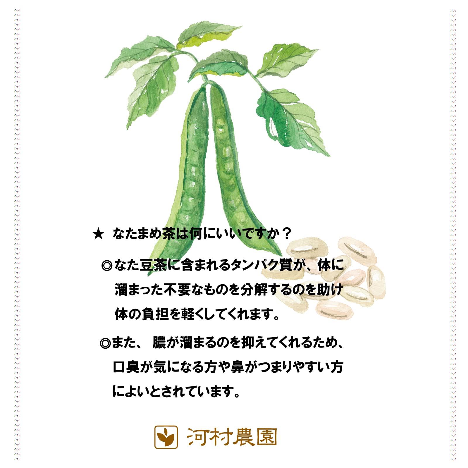 Amazon.co.jp: なたまめ茶 河村農園 豆と鞘をじっくり焙煎。甘みがあっ