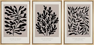 SIGNLEADER Framed Canvas Print Wall Art Set French Retro Art Deco Flower Plants Nature Wilderness Illustrations Modern Art Minimalism Decorative for Living Room, Bedroom, Office - 16"x24"x3 NATURAL
