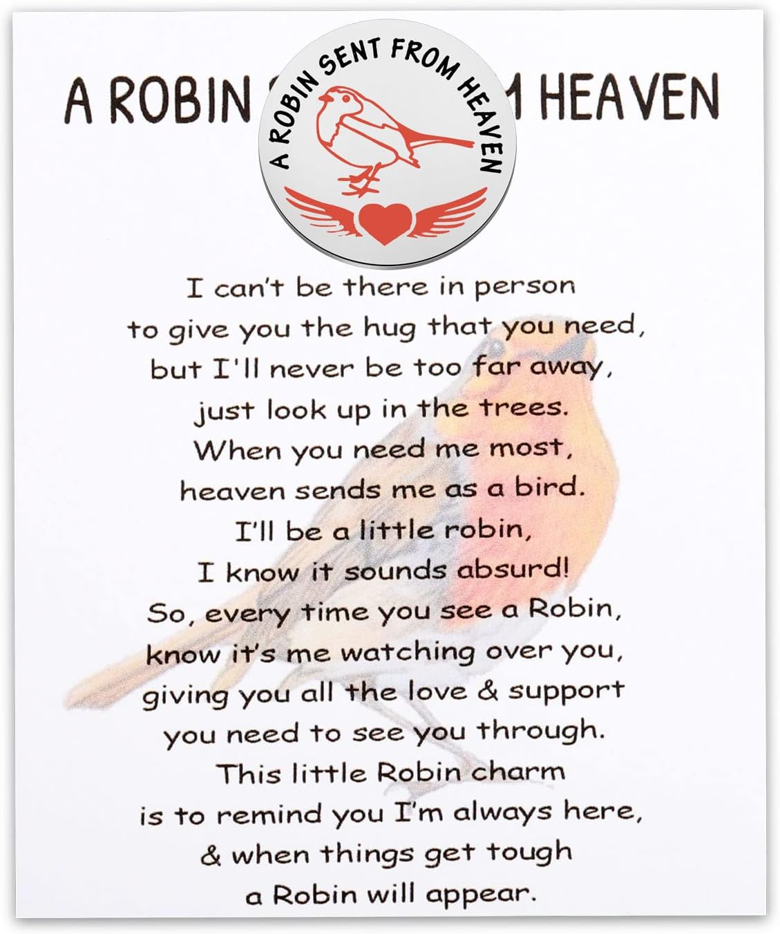 WSNANG Pocket Hug Robin Charm Token Bereavement Gift