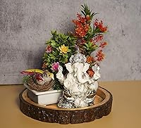 Vista 1 de 1 losa redonda de madera barnizada con bordes de corteza, centro de mesa rústico para bodas u hogares, bandeja de tronco de árbol de madera natural