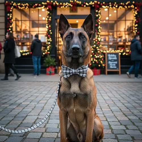 Miniatura 101 de PETDURO Collar de perro personalizado con nombre y teléfono grabado en hebilla de metal – Personalizado para perros medianos y grandes – Impresiones