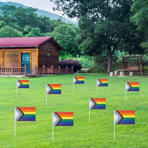 Vista 36 de GentleGirl Paquete de 12 banderas de arco iris del orgullo arcoíris, pequeñas banderas de mano gay LGBT Festival fiesta desfiles decoraciones Bander