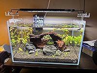 Review Image by DopeDeals DopeDeals
