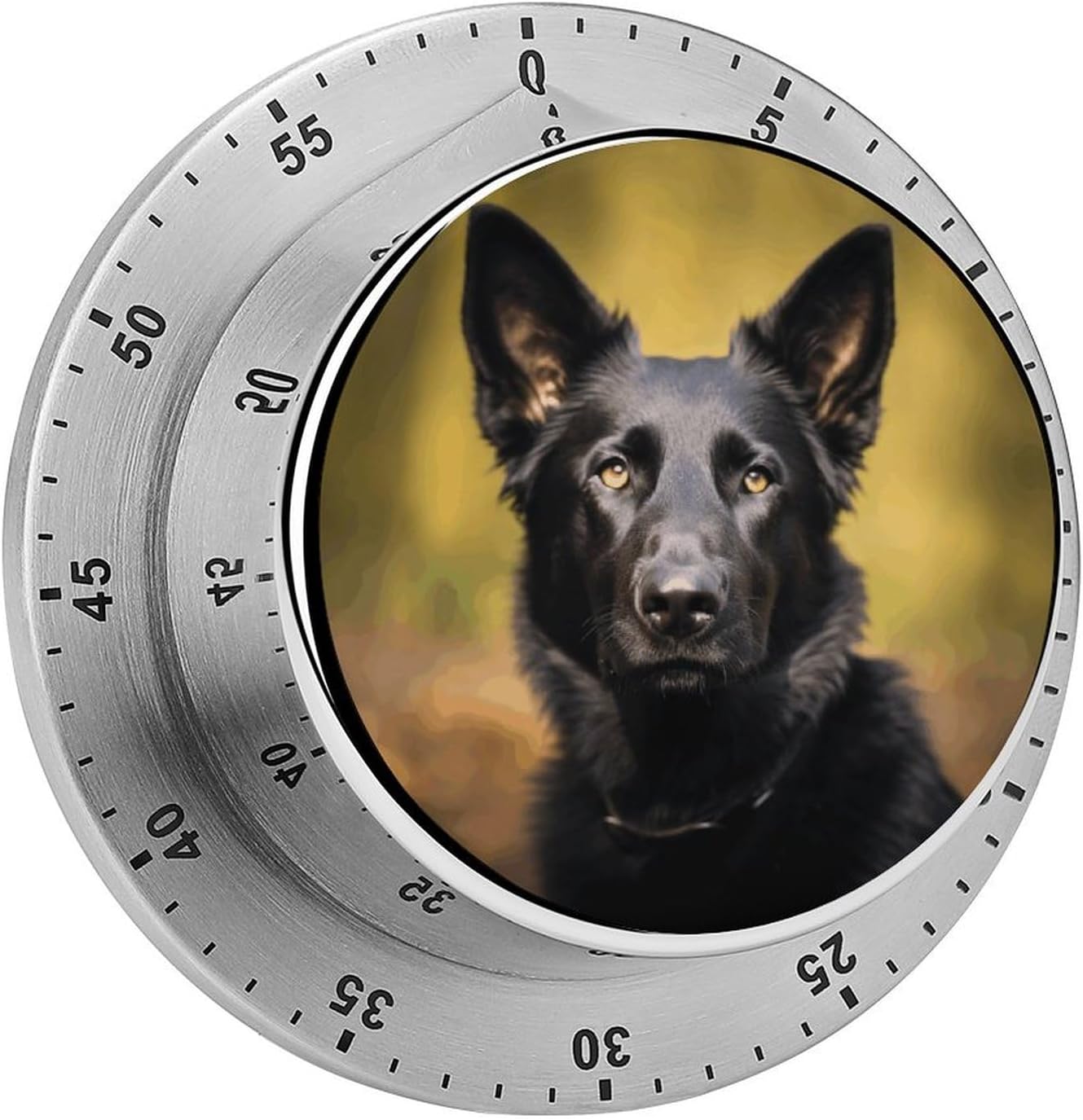 Stainless Steel Mechanical Kitchen Timer, Sturdy Digital Timer
