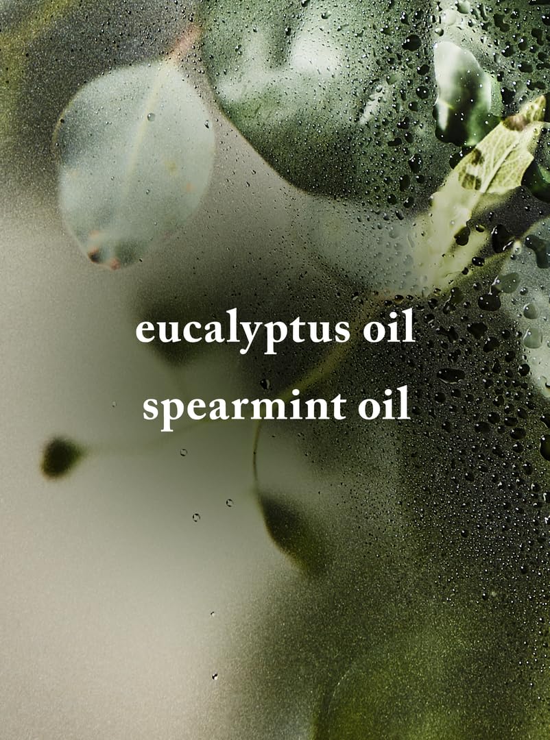 Eucalyptus Spearmint Köpük Sabun