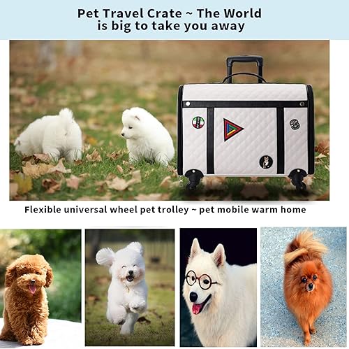 Miniatura 4 de Cochecito de mascotas con ruedas, transportador de viaje, diseñado para perros y gatos, cachorros, cómodo y con forro extra espacioso (negro)