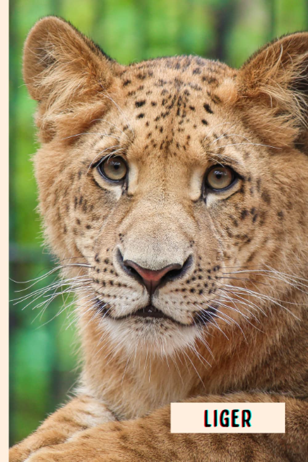 Liger: Composition Notebook For Liger Lovers , Liger Lined Journal ,6x9 Inches , 110 Pages ,Liger Diary