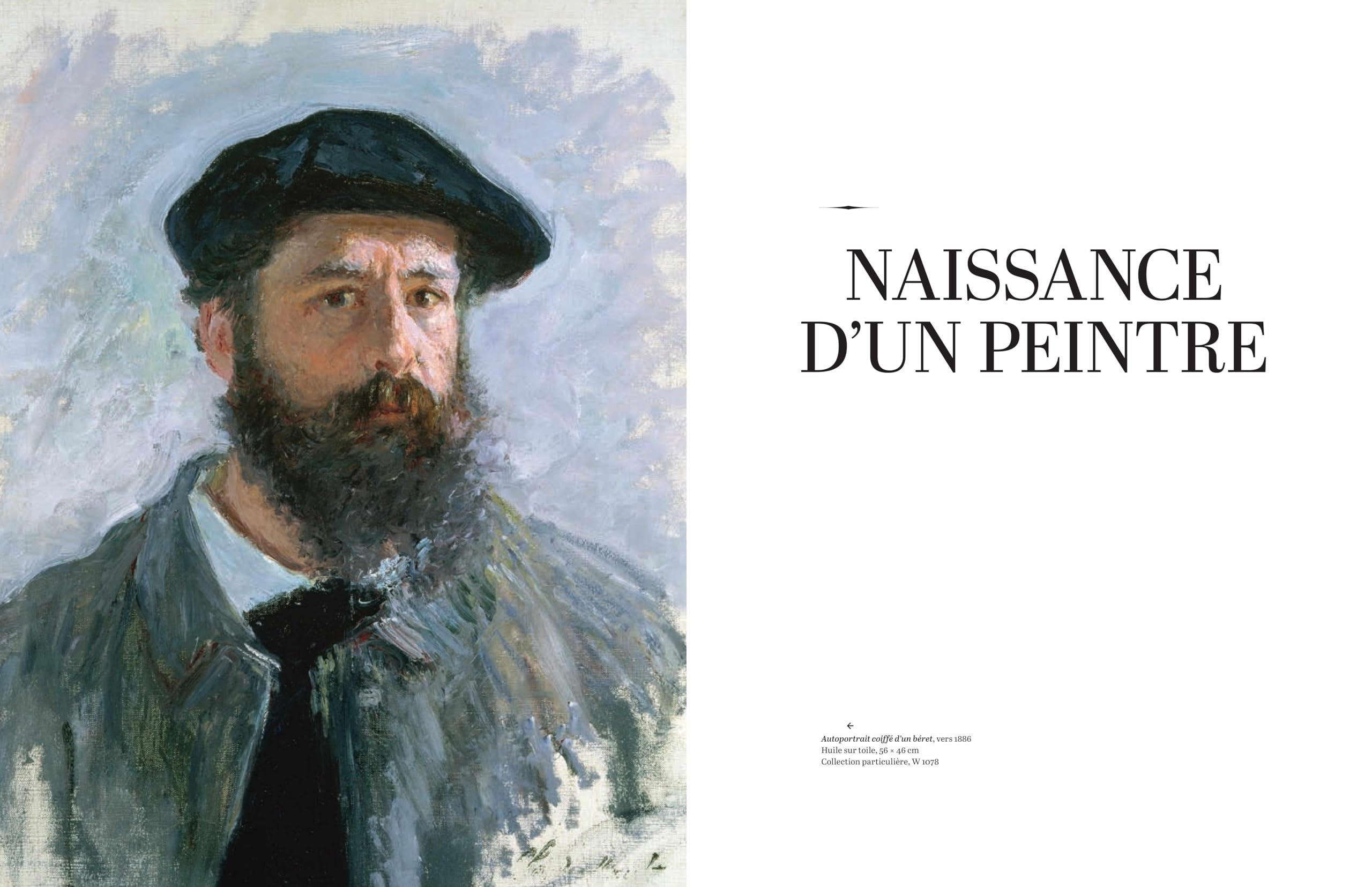 Monet: Par-delà l'horizon