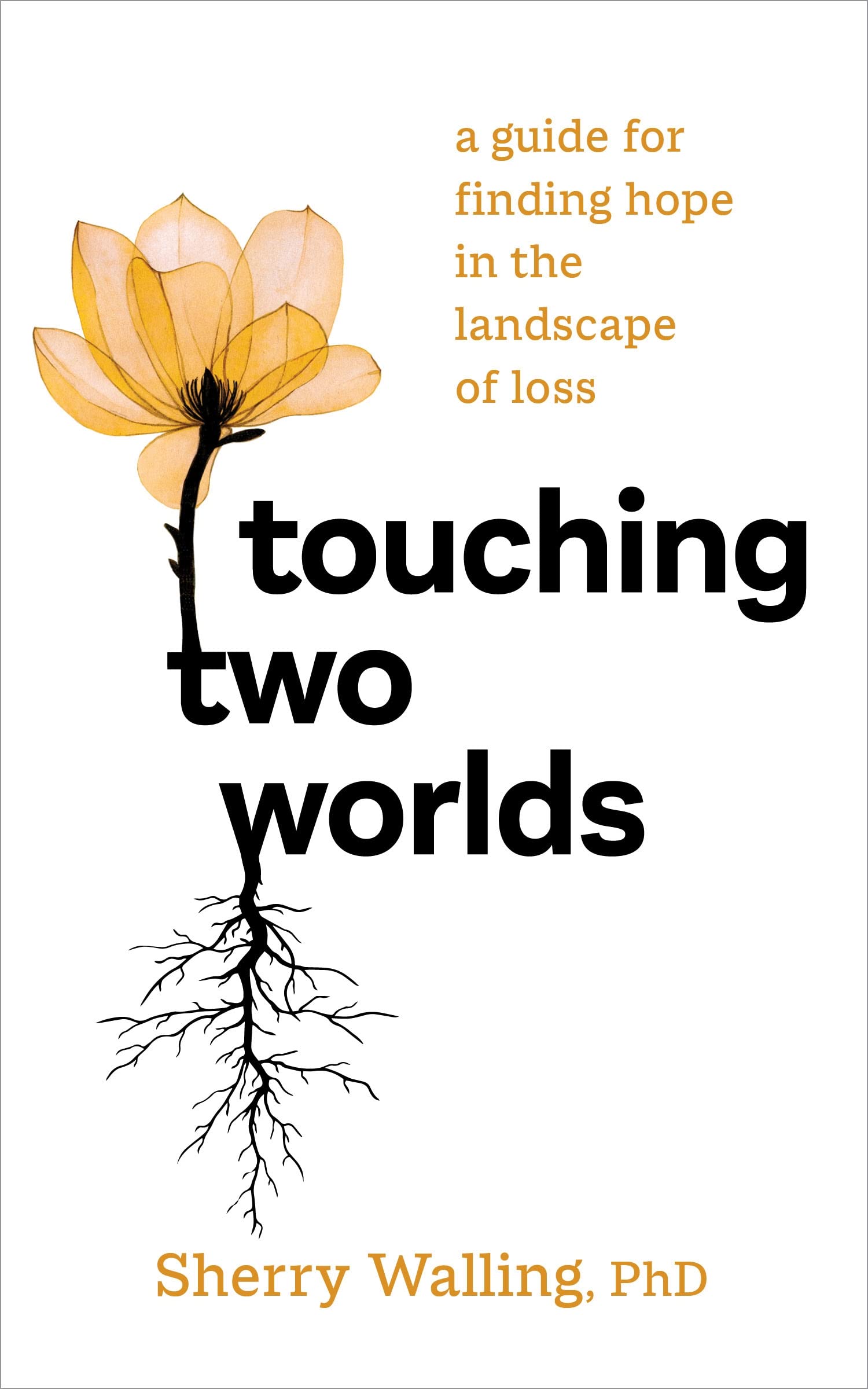 Touching Two Worlds: A Guide for Finding Hope in the Landscape of Loss