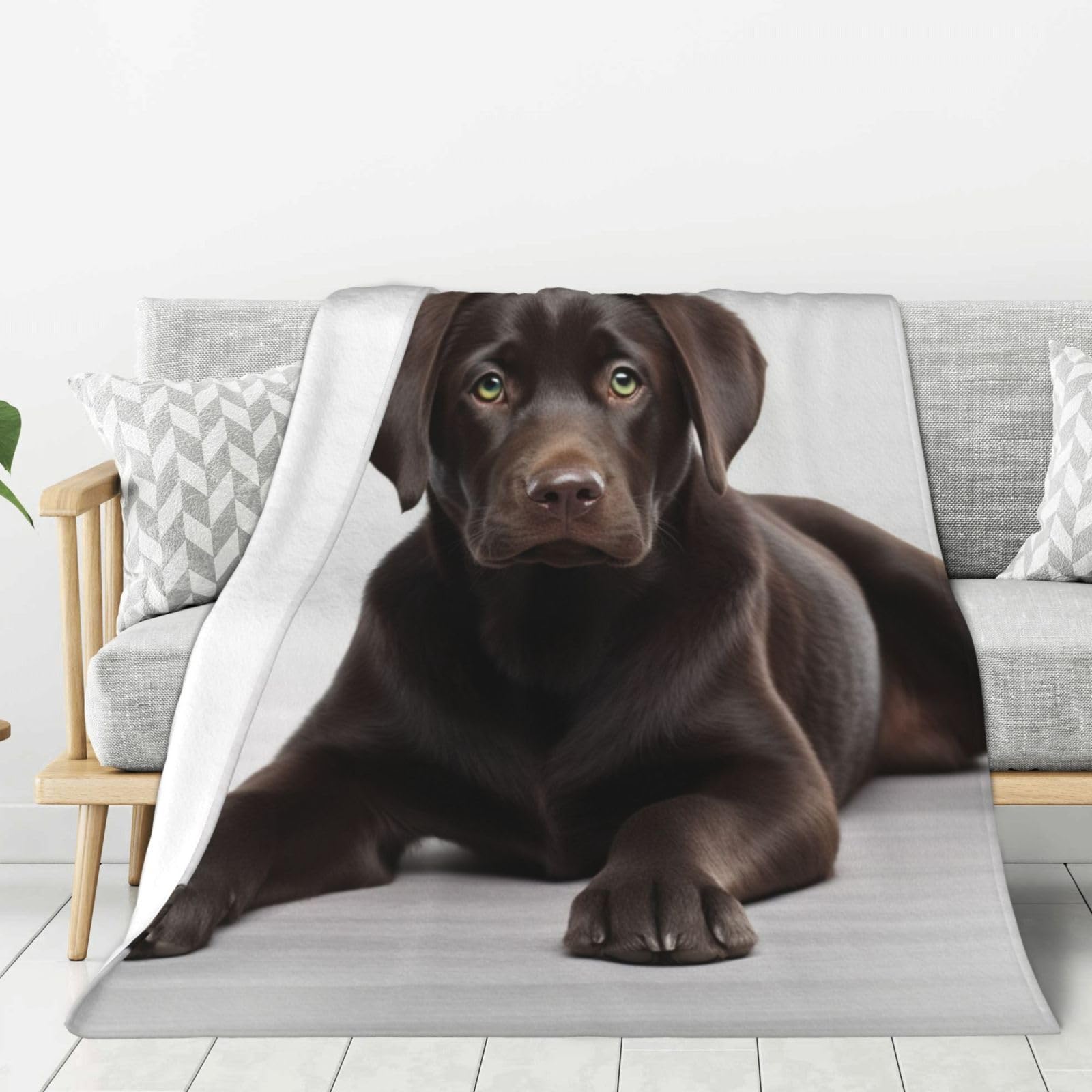 Couverture pour chien en flanelle 152x127 cm lavable et tapis polaire doux de canapé pour lit