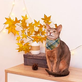 犬ネコ用リバーシブルバンダナ★着用イメージ写真★ No.2956☘️ 犬猫用 リバーシブル バンダナ Sサイズ ハワイアン ブルー