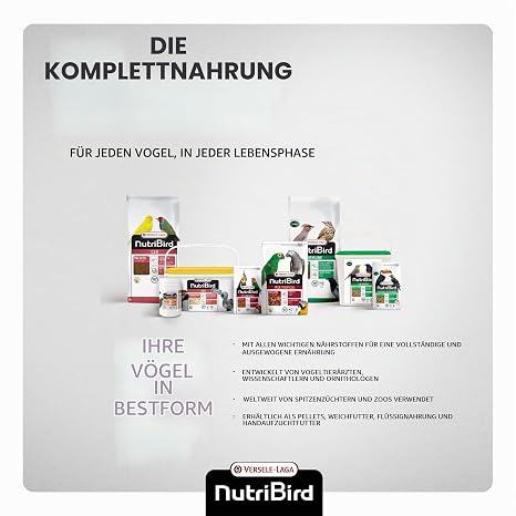 Nutribird P15 Original Onderhoudsvoeder 1 kg
