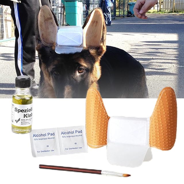 Foto 4 de 6 de Leeadwaey Kit de herramientas para el cuidado de las orejas de cachorro para pastor alemán S