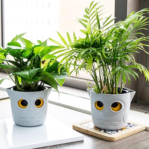 Miniatura 8 de Restmo Paquete de 6 macetas de riego automático de 4 pulgadas para plantas de interior con indicador de nivel de agua de ojo de búho, bonitas